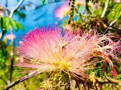 -丽江泸沽湖景区