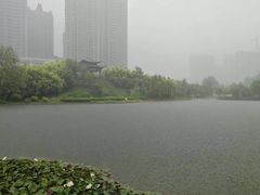 -张店儿童公园