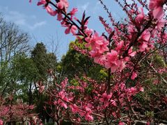 -贵阳市花溪国家城市湿地公园