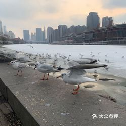 古文化街码头在哪 RoWIuzY8DCEnsKAuNTEMlucsb8x-DCYCSUUBrQSy7SVgFvMmoLdprHuYmfsNaLy7uzFvxlbkWx5uwqY2qcjixFEuLYk00OmSS1IdNpm8K8sG4JN9RIm2mTKcbLtc2o2vfCF2ubeXzk49OsGrXt_KYDCngOyCwZK-s3fqawWswzk.jpg