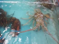 android_upload_pic-梅姐海鲜餐厅(水头海鲜街店)