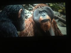 -UME影城(安贞DTS:X店)