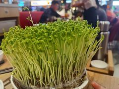 -好彩猪肚鸡(正弘城店)