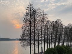 -太阳岛度假酒店