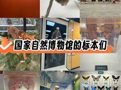 -国家自然博物馆