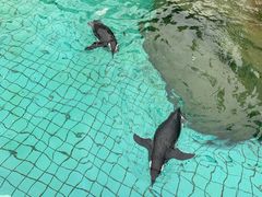 -野生动物园-停车场