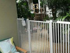 -东方名猫馆·英短金渐层布偶猫舍(环线广场1号楼店)