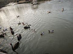 -溱湖国家湿地公园