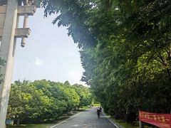-南京市江宁方山