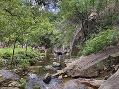-武汉姚家山旅游景区