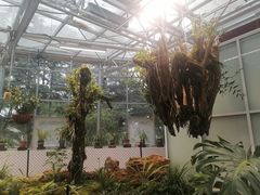 -国家植物园南园