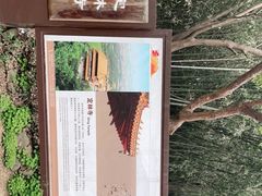 -南京市江宁方山