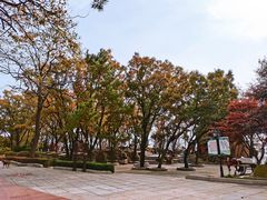 -燕窝岭