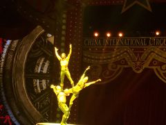 -珠海横琴长隆《卡卡虎奇遇记》