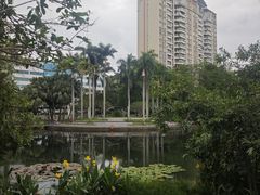-四海公园(南山区)