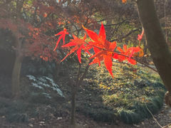 -宝界山林公园
