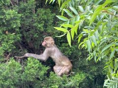 -洛阳白云山景区