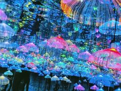 -天津梵高星空艺术馆(天河城旗舰店)