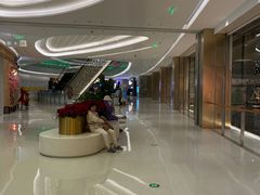 -合景·悠方(成都店)