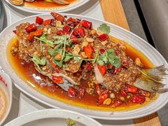 -杨氏青龙虾·羊蝎子(托乐嘉店)