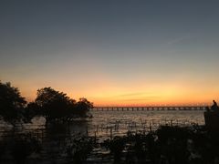 -宝安西湾红树林湿地公园