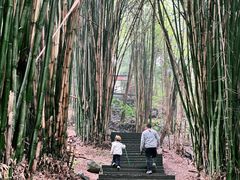 -凤栖山