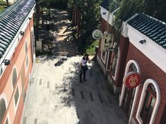 -武清南湖绿博园