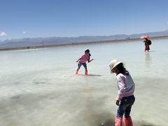 -青海茶卡盐湖文化旅游发展股份有限公司