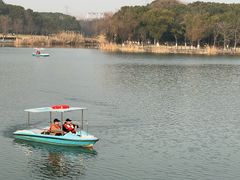 -昆山城市生态森林公园
