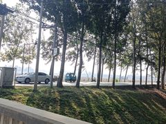 -第五季龙水凤港生态露营农场