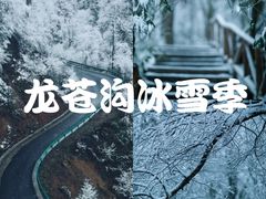 -龙苍沟森林公园
