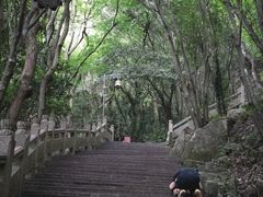 -普陀山慧济禅寺