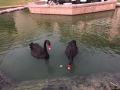 -行者书屋大堂吧 ·下午茶(南京圣和府邸酒店)