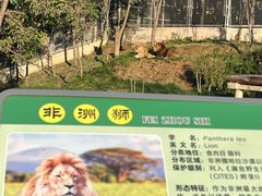 -石家庄市动物园