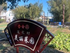 -莲花岛景区