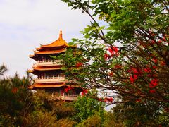 -福神岗公园