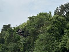 -食膳公园包子铺(烈士公园店)