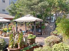 -山菌美食苑(振兴路店)