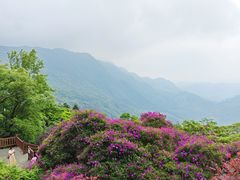 -广州市石门国家森林公园
