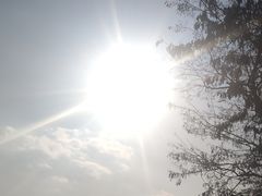 -淀里船宴(卓达店)