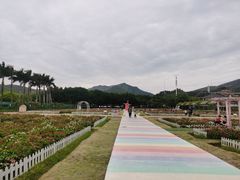 -盈香心动乐园