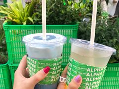 -ALPHA COFFEE阿尔法咖啡(虹泉路店)