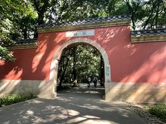 -灵谷景区