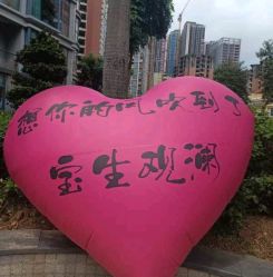 -宝生月子中心·私家园林式(龙华观澜店)
