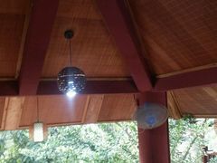 -纳兰傣雀傣味餐厅