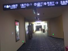 -华谊兄弟影院(北京洋桥店)