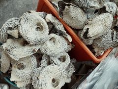-文昌铺前老街
