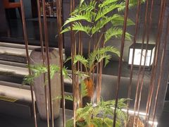 -吉川谷谷·铁板烧烤肉放题(石景山台湾街店)