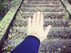 -武汉大学-樱园