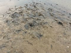 -刘家湾赶海园